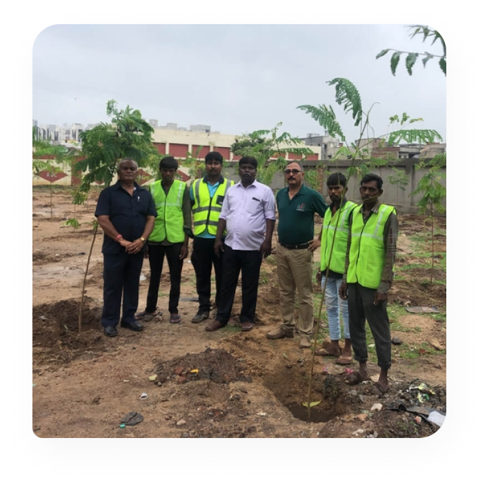 AMC tree Plantation